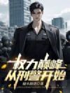 权力巅峰:从刑警开始